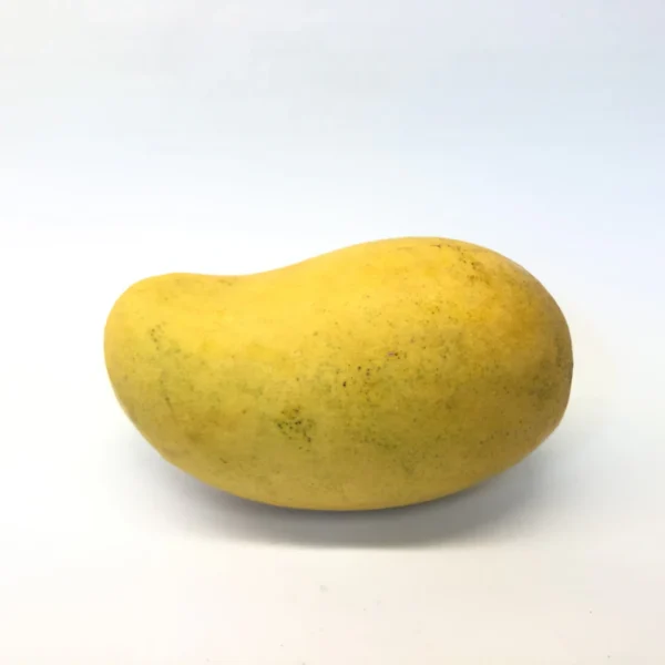 Ataulfo Mango Trio — Fresh Produce at Ham Dealer