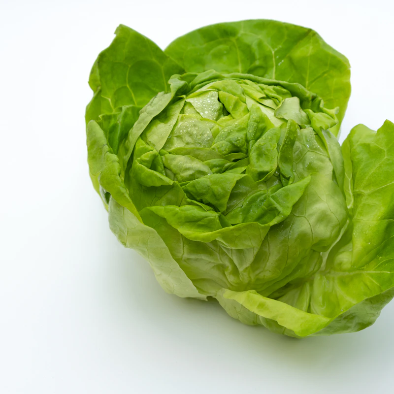 Butter Lettuce Twin Pack β Fresh Produce at Ham Dealer