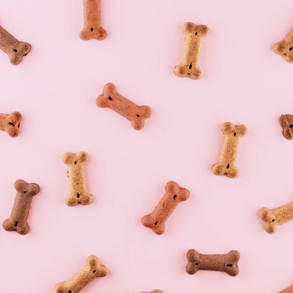 Durable Rubber Chew Bone — Pet Supplies at Ham Dealer