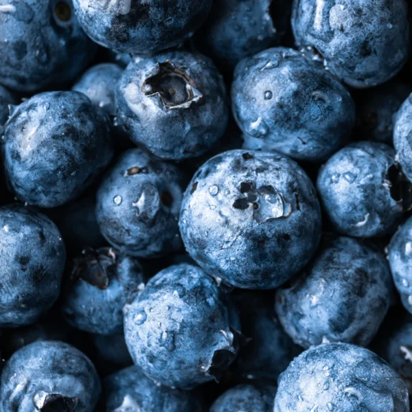 Fresh Blueberries Pint — Fresh Produce at Ham Dealer