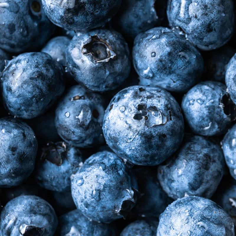 Fresh Blueberries Pint β Fresh Produce at Ham Dealer