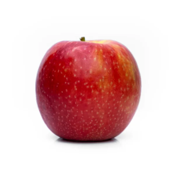 Gala Apple Snack Pack 6-Count — Fresh Produce at Ham Dealer