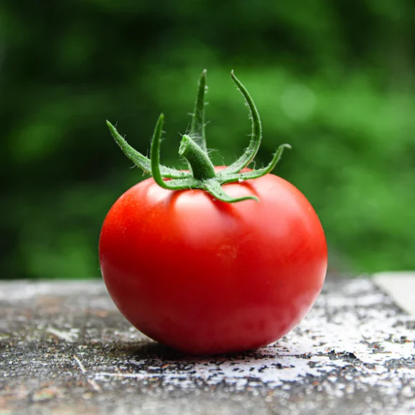 Heirloom Cherry Tomato Medley — Fresh Produce at Ham Dealer
