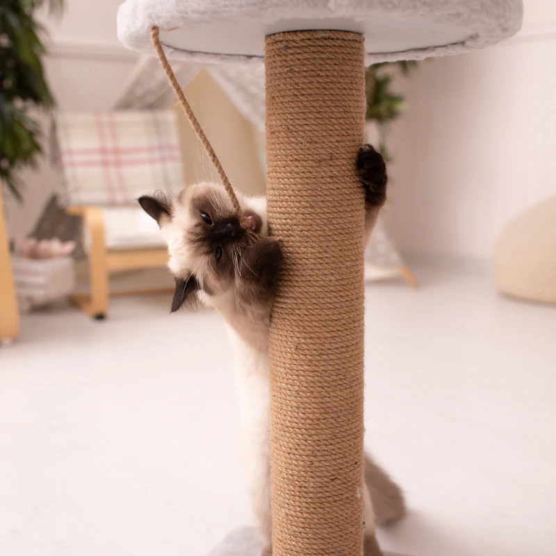 Modern Cat Tree Tower 52" β Pet Supplies at Ham Dealer
