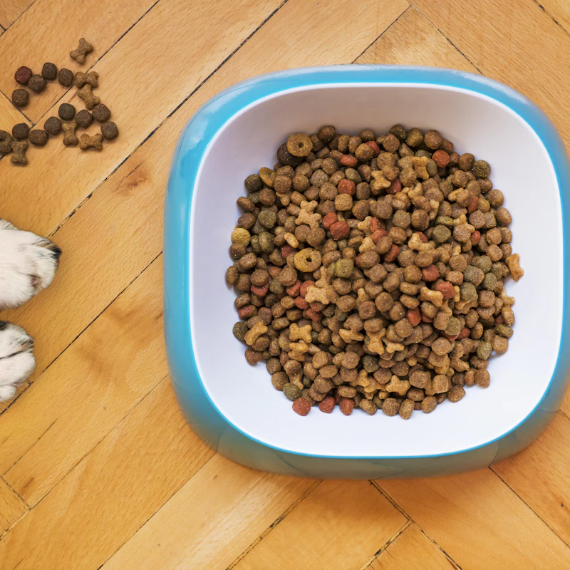 Natural Chicken Dog Treats 16 oz β Pet Supplies at Ham Dealer