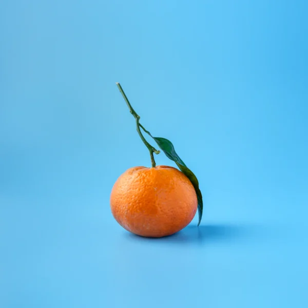 Navel Orange Bag 4 lb — Fresh Produce at Ham Dealer