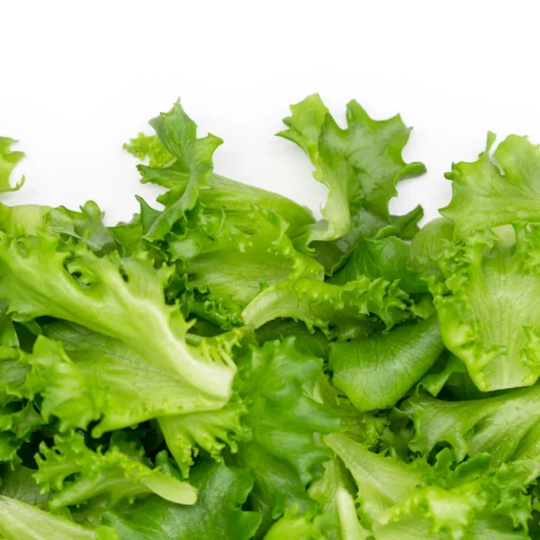 Organic Baby Spinach & Greens Blend — Fresh Produce at Ham Dealer