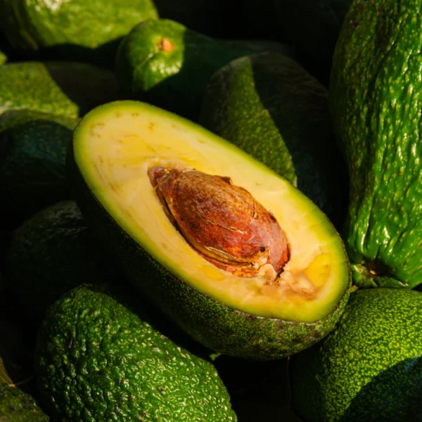 Organic Hass Avocado 4-Pack — Fresh Produce at Ham Dealer