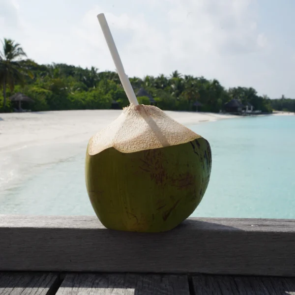 Pure Coconut Water 6-Pack — Beverages at Ham Dealer