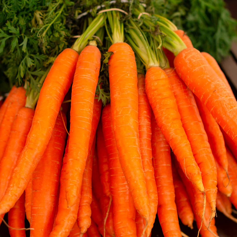 Rainbow Carrot Bunch β Fresh Produce at Ham Dealer