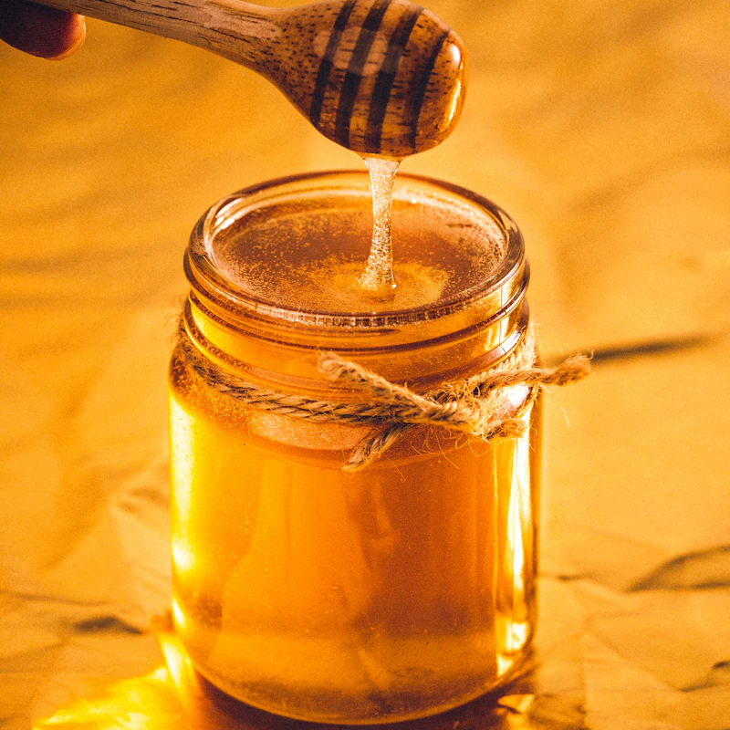 Raw Wildflower Honey 16 oz β Pantry at Ham Dealer