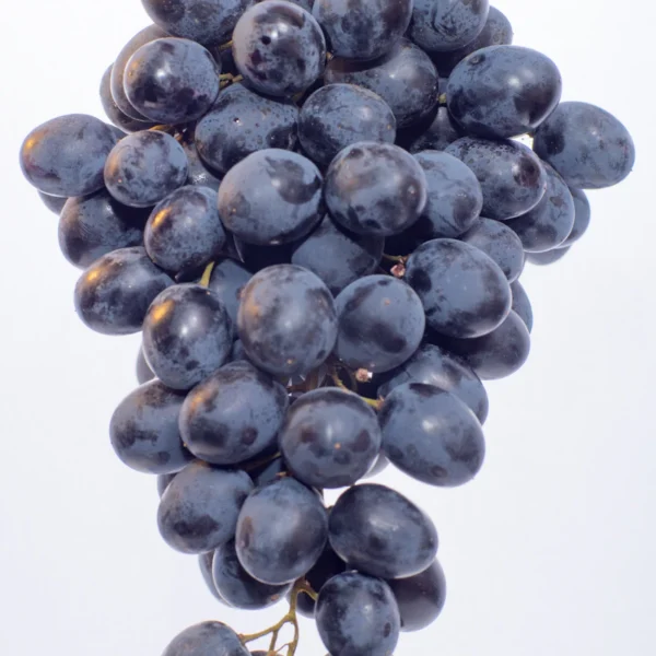 Red Seedless Grapes 2 lb — Fresh Produce at Ham Dealer