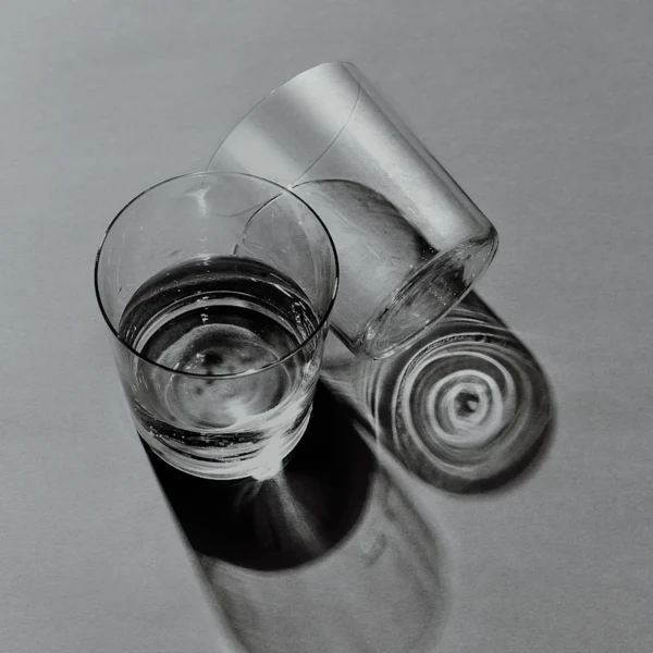 Stemless Wine Glasses (4) — Home & Kitchen at Ham Dealer