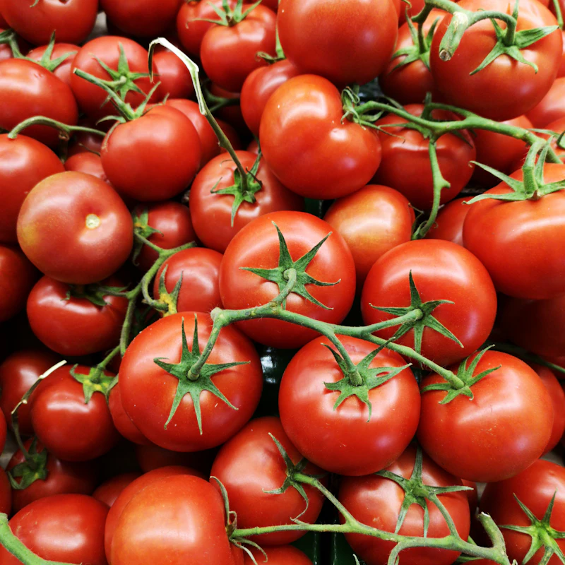 Vine-Ripened Tomatoes 1.5 lb β Fresh Produce at Ham Dealer
